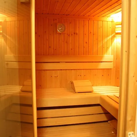 In Near Slopes Appartement Flachau